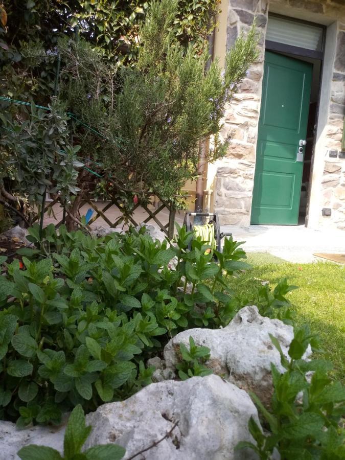 B&B Malpensa Ticino Valley Vizzola Ticino Exterior foto